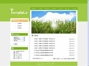 鈺婕婕婕 婕瑪網(wǎng)絡(luò)在ZCOOL上的企業(yè)官網(wǎng)展示與設(shè)計美學(xué)